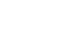 CAI Logo